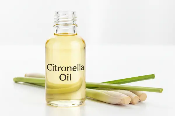 Citronella Oil